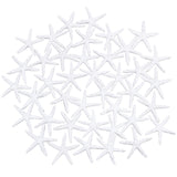 Resin Cabochons, Starfish/Sea Stars, White, 53~55x53~55x8mm