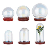 6 Styles Glass Dome Cover, Decorative Display Case, Cloche Bell Jar Terrarium with Wood Base, Clear, Dome: 18~40x29.5~44mm, Base: 18~31x4~5mm