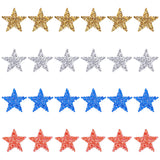 24Pcs 4 Colors Star Hotfix Rhinestone, Costume Accessories, Sewing Craft Decoration, for Independence Day, Mixed Color, 35x37x2.5mm, 6pcs/color