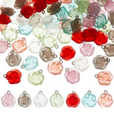 70Pcs 7 Colors Transparent Frosted Resin Rose Pendants, with Platinum Tone Iron Loops, Mixed Color, 18x15.5x7mm, Hole: 2mm, 10pcs/color