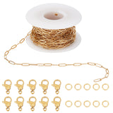 DIY Chain Bracelet Necklace Making Kit, Including Ion Plating(IP) 304 Stainless Steel Paperclip Chains & Jump Rings & Clasps, Golden, Chains: 10x3.5x0.8mm, 10M/set