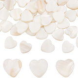 2 Strands Natural Freshwater Shell Beads Strands, Heart, Seashell Color, 13x12.5x3mm, Hole: 1mm, about 30pcs/strand, 13.78 inch (35cm)