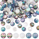 90Pcs 3 Colors Acrylic Imitation Shell Cabochons, Half Round, Mixed Color, 8x3mm, 30pcs/color