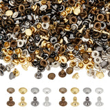 320 Sets 4 Colors Brass Rivets, Collision Rivet, Flat Round, Mixed Color, Cap: 4x2.5mm, Inner Diameter: 1.8mm, Stud: 4x4mm, Pin: 1.8mm, 80 sets/color