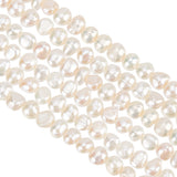 1 Strand Natural Cultured Freshwater Pearl Beads Strands, Two Sides Polished, Creamy White, 5.5~7x5~6x3.5~5mm, Hole: 0.6mm, about 63~65pcs/strand, 13.58 inch~14.17 inch(34.5~36cm)