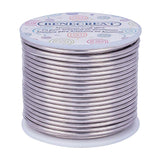 Round Aluminum Wire, Dark Gray, 10 Gauge, 2.5mm, about 80.38 Feet(24.5m)/roll