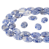 2 Strands Flat Oval Natural Blue Spot Jasper Beads Strands, 18x13x6mm, Hole: 2mm, about 22pcs/strand, 15.70''(39.87cm)