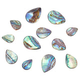 12Pcs 3 Styles Natural Abalone Shell/Paua Shell Beads, Top Drilled, Teardrop, 16~25x12~18x2~6mm, Hole: 0.7mm, 4pcs/style