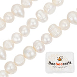 1 Strand Natural Cultured Freshwater Pearl Beads Strands, Potato, Seashell Color, 6~7x7~8.5mm, Hole: 0.5mm, about 24pcs/strand, 7.09''(18cm)