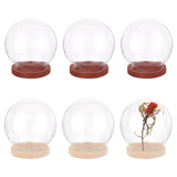 6Pcs 2 Colors Glass Dome Cover, Decorative Display Case, Round Cloche Bell Jar Terrarium with Wooden Base, Mixed Color, 4cm, 3pcs/color