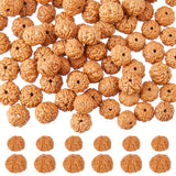 120Pcs 2 Styles Natural Rudraksha Beads, Lead Free, Round, Coral, 9~12x7~9.5mm, Hole: 1~1.2mm, 6pcs/style