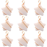 30Pcs Natural Freshwater Shell Pendants, Star Charms, with Real 18K Gold Plated Eco-Friendly Copper Wire Wrapped, Creamy White, 24x18x4mm, Hole: 4mm