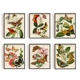 Chemical Fiber Oil Canvas Hanging Painting, Home Wall Decoration, Rectangle, Butterfly Pattern, 250x200mm, 6 style, 1pc/style, 6pcs/set