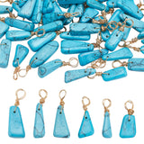 50Pcs Dyed Natural Howlite Pendants, Light Gold Plated Copper Wire Wrapped Nuggets Charms, Dark Turquoise, 20~27x6~10x3~10mm, Hole: 3.5mm