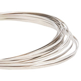 Stainless Steel Wire, Flat, Stainless Steel Color, 3x1mm, about 22.97 Feet(7m)/Roll