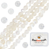 2 Strands Natural White Shell Beads Strands, Round, White, 2mm, Hole: 0.5mm, about 199pcs/strand, 15.55 inch(39.5cm)