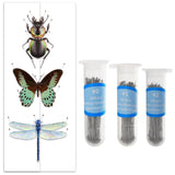 3 Boxes 3 Style 201 Stainless Steel Insect Pins, Specimen Needles, with Plastic Bottles, Stainless Steel Color, 37.5x1.5mm, pin: 0.25~0.35mm, about 100pcs/box, 1 box/style