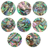 8Pcs Natural Abalone Shell/Paua Shell Cabochons, Colorful, Flat Round, 19.5x1.6mm