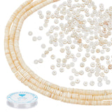 DIY Stretch Bracelets Making Kits, Including 3 Strands Shell Beads Strands and 1 Roll Clear Elastic Crystal Thread, Seashell Color, 4.9~6x0.4~6mm, Hole: 1.4mm,  about 15.94 inch~16.14 inch(40.5~41cm)