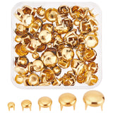 200Pcs 5 Style Brass Four-Claw Rivets, Nailheads Spots Stud, for Leathercraft, Half Round, Golden, 4~12x4~8mm, 40pcs/style