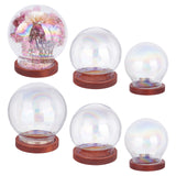 6Pcs 3 Style Glass Dome Cover, Decorative Display Case, Cloche Bell Jar Terrarium with Wood Base, Clear, 30.5~40x35~44mm, 2pcs/style