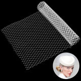 1M Polyester Mesh Fabric, for DIY Bride Veils Hats Fascinators, Clear AB, 28cm