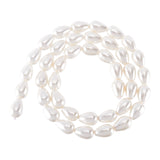 1 Strand Polished Shell Pearl Beads Strands, Teardrop, White, 10x6.5mm, Hole: 0.8mm, about 40pcs/strand, 15.7 inch(40cm)