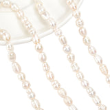 2 Strands Natural Cultured Freshwater Pearl Beads Strands, Oval, Beige, 8.5~12x6.5~7.5mm, Hole: 0.8mm, about 32~39pcs/strand, 13.82 inch~14.37 inch(35.1cm~36.5cm)