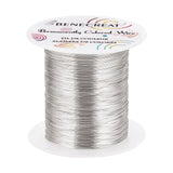 1 Roll Round Copper Wire, for Jewelry Making, Silver, 0.3mm, about 492.13 Feet(150m)/Roll