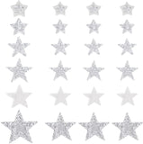 24Pcs 6 Style Star Glitter Hotfix Rhinestone, Iron on Patches, Dress Shoes Garment Decoration, Crystal, 4pcs/style
