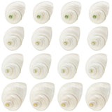 Natural Spiral Shell Beads, No Hole, Antique White, 21~29x21~29x17~25mm, 16pcs/box