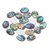 Natural Abalone Shell/Paua Shell Cabochons, with Freshwater Shell, Oval, Colorful, 14x10x3mm, 20pcs/box