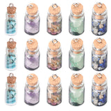 30Pcs Glass Bottle Pendants, with Natural & Synthetic Gemstone Chip Beads and Iron Findings, Platinum, 25x10mm, Hole: 1.5mm