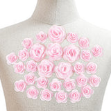 3D Rose Flower Polyester Computerized Embroidered Ornament Accessories, for Costume, Hat, Bag, Pink, 42x10mm and 28x11mm, 30pcs/box