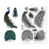 Peacock Halloween Clear Stamps