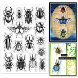 Beetle Summer Theme Clear Stamps