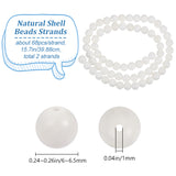 2 Strands Natural Shell Beads Strands, Dyed, Round, White, 6~6.5mm, Hole: 1mm, about 68pcs/strand, 15.7''(39.88cm)