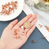 Vacuum Plating 304 Stainless Steel Stud Earring Findings, with Loop and Flat Plate, Flat Round, Rose Gold, 10x1mm, Hole: 1.5mm, Pin: 0.8mm, 40pcs/box