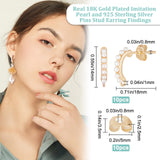 10Pcs Brass Stud Earring Findings, Curved Bar, with Horizontal Loops & ABS Plastic Imitation Pearl & 925 Sterling Silver Pins, Nickel Free, with 10Pcs Ear Nuts, Golden, 17~18x13~14mm, Hole: 1mm, Pin: 0.8mm