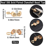 40Pcs Brass Bead Tips, Calotte Ends, Clamshell Knot Cover, Shell, Real 18K Gold Plated, 16x5mm, Hole: 3mm, Inner Diameter: 4.5x4mm