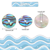 Natural Paua Shell/Abalone Shell Beads, Disc/Flat Round, Heishi Beads, Colorful, 10x1mm, Hole: 1mm, about 40pcs/box