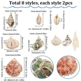 16Pcs 8 Styles Natural Shell Pendants, Shell Shape Charms with Golden Tone Loops, Shell Shape, 19~54x12~48x6~18mm, Hole: 1.2~3.6mm, 2pcs/style