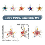 5pcs 5 colors Handmade Lampwork Pendants, Starfish, Mixed Color, 29x29mm