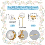 6 Pairs Natural Pearl Round Stud Earrings Findings, with Brass Findings & Vertical Loops, Cadmium Free & Lead Free, with 12Pcs Ear Nuts, Real 18K Gold Plated, 10x7.5mm, Hole: 0.6mm, Pin: 0.6mm