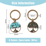 Gemstone Chip Flat Round with Tree of Life Pendant Keychain, with Alloy Split Key Rings, 5.4cm, 9 color, 2pcs/color, 18pcs/set
