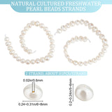 2 Strands Natural Cultured Freshwater Pearl Beads Strands, Rondelle, Antique White, 6~8x5~6mm, Hole: 0.6mm, about 28~30pcs/strand, 6.69 inch(17cm)