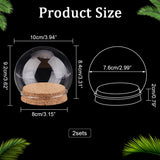 2 Sets High Borosilicate Glass Dome Cover, Decorative Display Case, Round Cloche Bell Jar Terrarium with Cork Base, Clear, 100mm