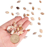 Natural Spiral Shell Beads, No Hole, Lemon Chiffon, 7~12x3~7x3~7mm, about 1400~1500pcs/box