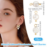 40Pcs Natural Cultured Freshwater Pearl Oval Charms, with Golden Tone Brass Loops, White, 10~12x5.5~7x4.5~6mm, Hole: 2.4~2.7mm