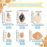 6 Styles Natural Shell Beads Display Ornaments, for DIY Craft, Home Decoration, Mixed Color, 5~16x3~13x1~9mm